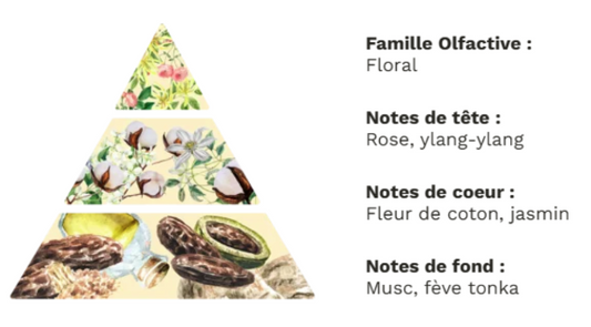 Bougies fleuries fleur de coton